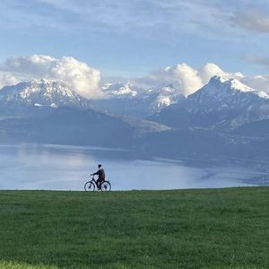 柳神3D同人18❌AV
