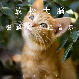 柳神3D同人18❌AV
